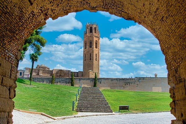 Restaurantes veganos y vegetarianos en Lleida