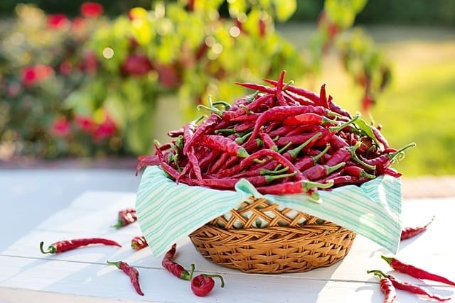 Chili vegano con maíz y pimientos